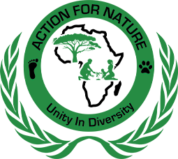AFN logo